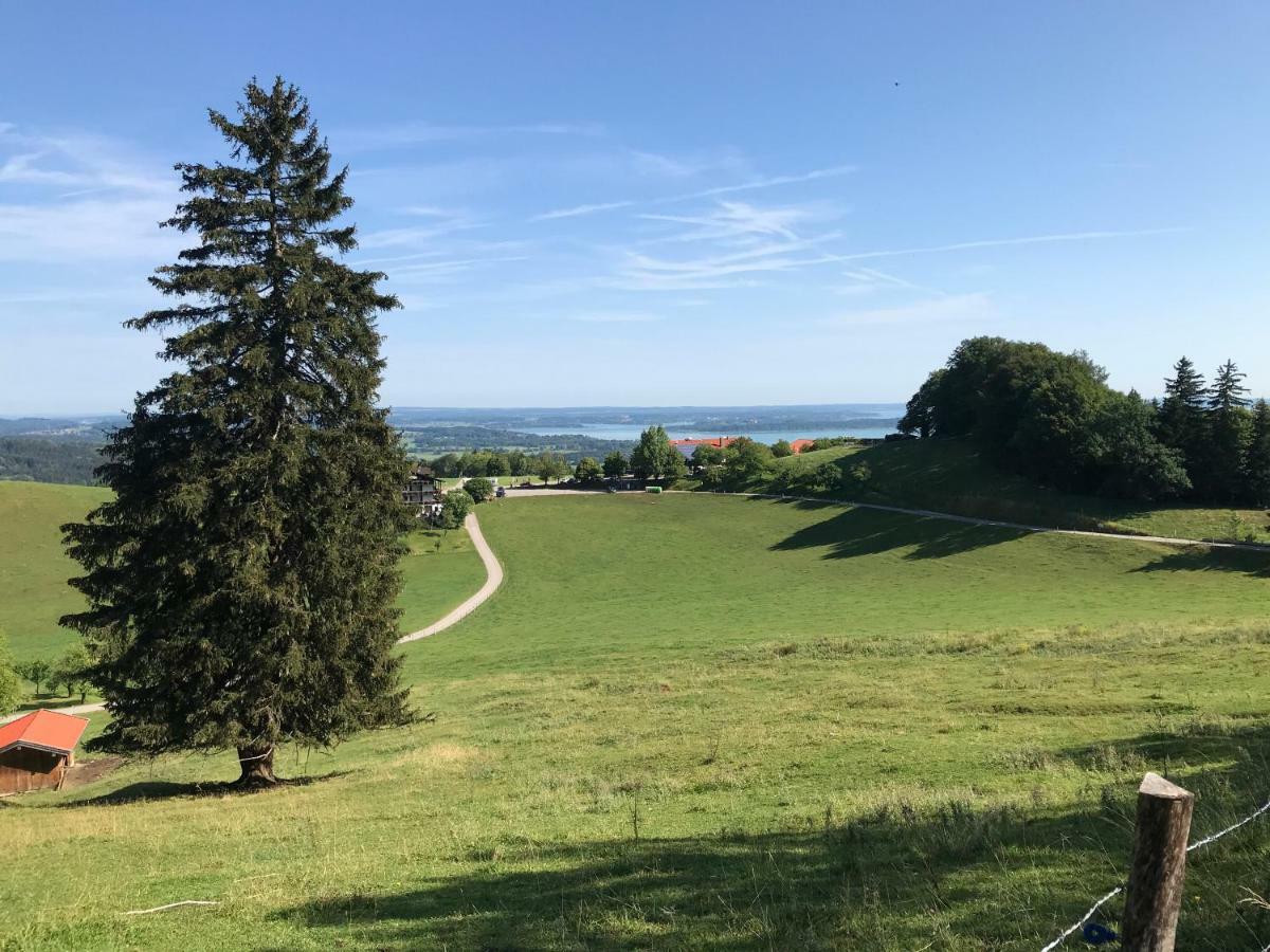 Fewo Chiemsee Spezial Aschau im Chiemgau Εξωτερικό φωτογραφία